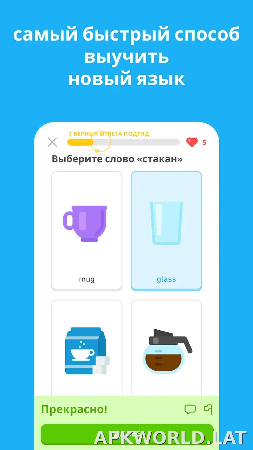 Дуолинго скриншот 5